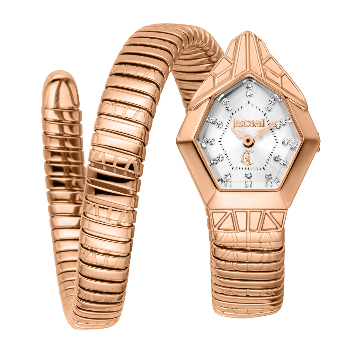 MONTRE JUST CAVALI FEMME SIMPLE ACIER